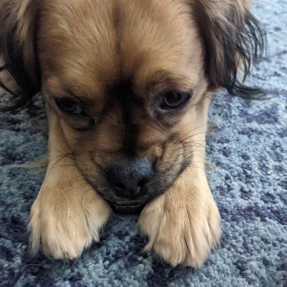 Meet your Posher, Greg - Picture 4 of 5